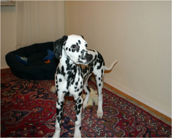 <b>gut, bis dahin bitte keine Fotos mehr von der Seite! ok?<b>